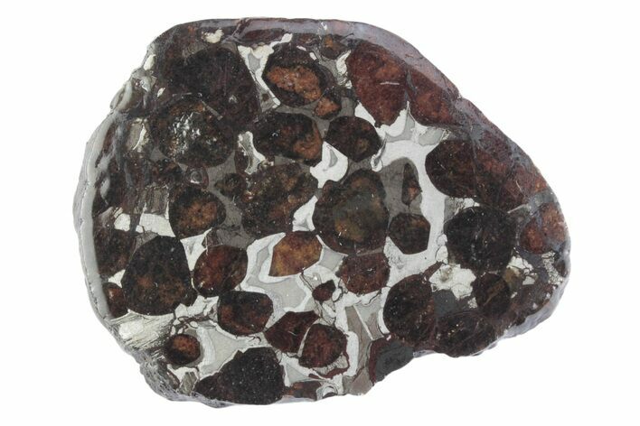 Sericho Pallasite Meteorite ( g) Slice - Kenya #382943